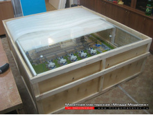 �������� ������.JPG