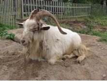 ������� ��������������������� - ����� ��������