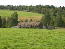 ����������� )))