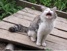 ��������� ������ ����� 6 ��������� �������