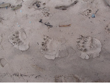 � ��� � ����� �������. ������.