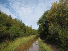 ������ ������� ����� �����