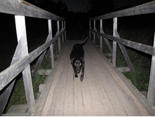 ����������� \"�����������\"