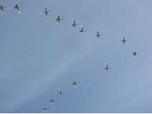 ������ ���������� �� �� - � �������