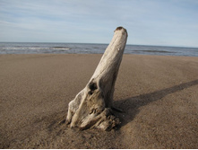 ������ �� �������� �����, ����������� �� �����