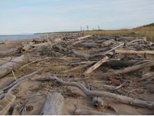 ��������� �� ����� ����������� ������ ����������� �����