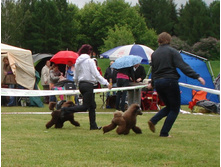 DSC03485.JPG