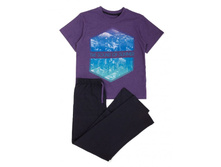 ������ ���. 8860990924