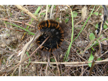 �������� ������