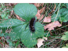 ������ ������ ������ �������