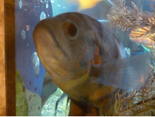 ���������� (2)_resize.JPG