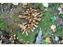 ��� ���� ������ ����!