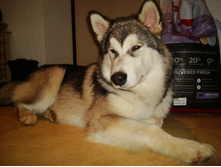 ����������� 006.jpg