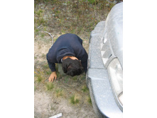 ������� �� �������� :)))