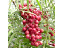 ����� ������� 2�� - 190�