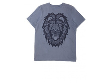 �������� ���. 2056251483