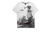 �������� ���. 2041920306