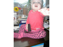 ���� ������� ������-����������� ��������, ������ 12-24 ���