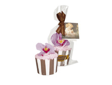 ���� ���� � ��������.jpg