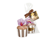 ���� ���� ���������� � ��������.jpg