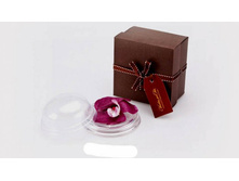 ���� �������� ������.jpg