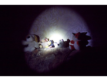 ��� ������ �������