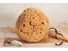 ����� �����