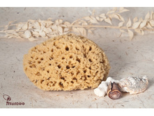 ����� ��������