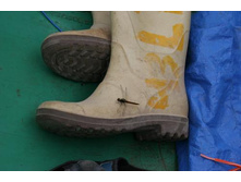 �������� ���� ����� ����