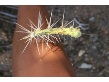 ���������� ���������)))