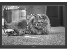 ��� ��� ��� ��ף���?