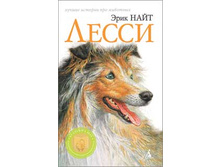 �����. ���� �������� ���