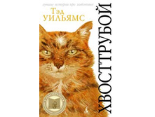 ����� ������.���� �������� ���