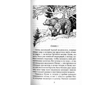 ������� ������.jpg