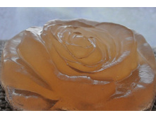 DSC_0658 (1280x851).jpg