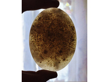 DSC_0614 (1022x1280).jpg