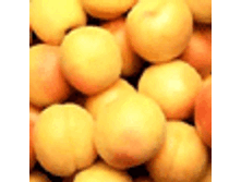 �������� ����� 20� - 75�