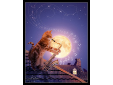 ������� ����