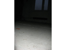 IMG_4864.jpg