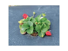 ���������� ������ ������ � ������� ���������.