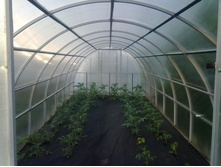 ���������� ������� ���������.