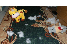 ���� ���