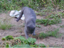 ...������ �����...