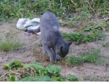 ...��������