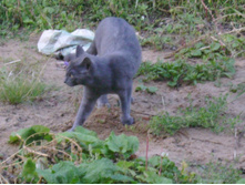 ������  ����-����� �����!