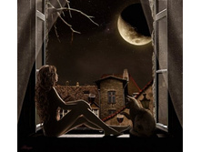 ��� ���� - ����� �����...