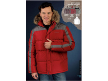 ������ �������.���� 3750