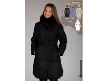 ���� �� �������