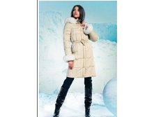 ������ ������� ���� 4100