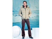 ������ ������� ���� 2950